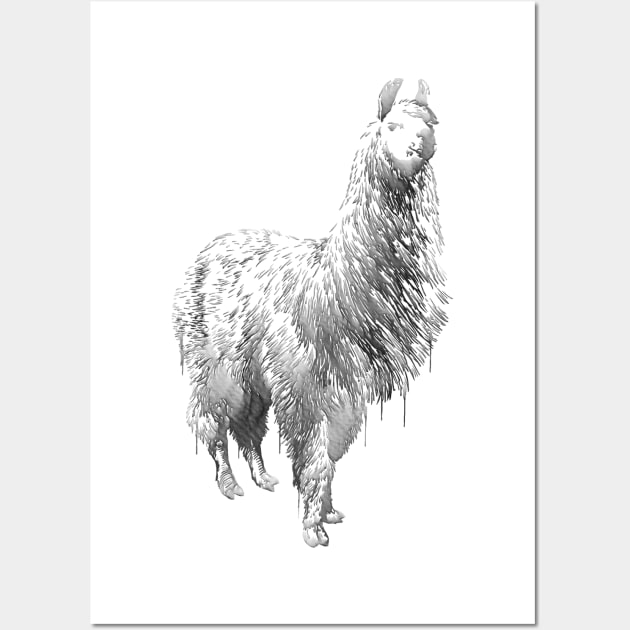 Alpaca Wall Art by erzebeth